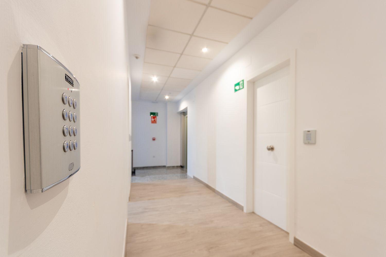 Apartamentos Basilica Santa Eulalia Parking Gratis Merida Bagian luar foto